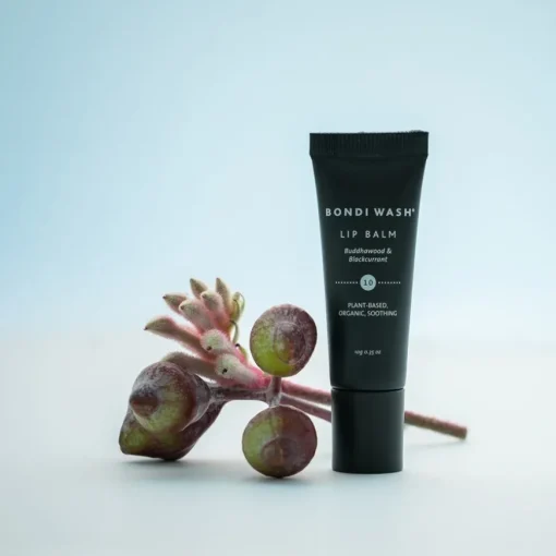 10 Buddhawood & Blackcurrant Lip Balm von Bondi Wash