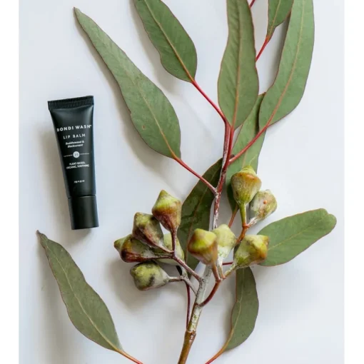 10 Buddhawood & Blackcurrant Lip Balm von Bondi Wash