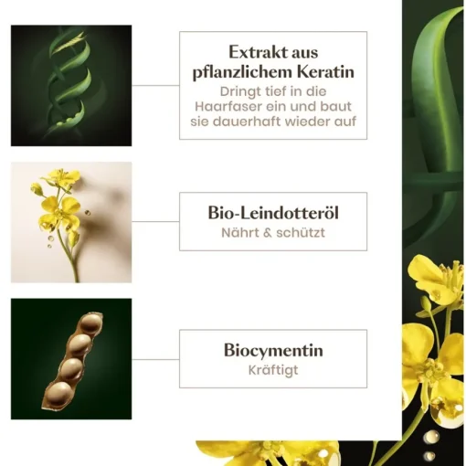 Absolue Kératine Ultimatives Repair Serum von René Furterer