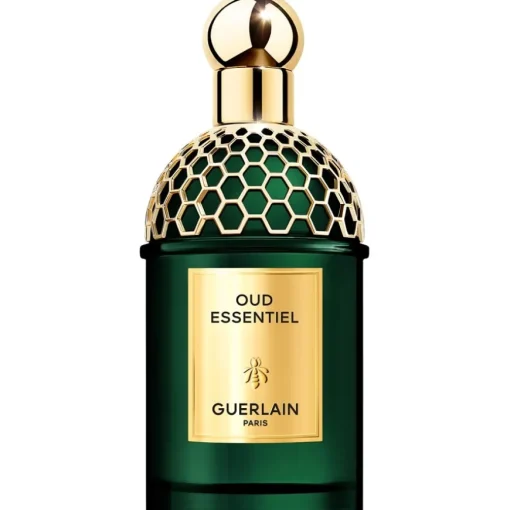 Absolus Allegoria Eau de Parfum Spray Oud Essential von GUERLAIN
