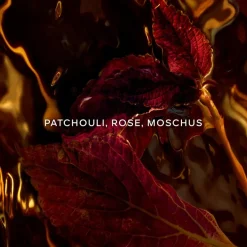 Absolus Allegoria Eau de Parfum Spray Patchouli Ardent von GUERLAIN