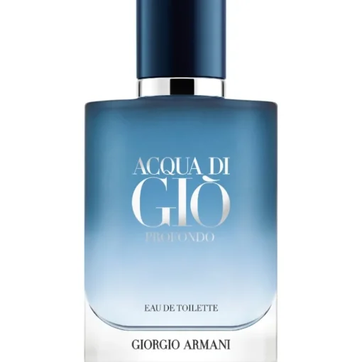 Acqua di Giò Homme Eau de Toilette Spray Profondo von Armani
