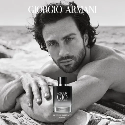 Acqua di Giò Homme Parfum - nachfüllbar von Armani