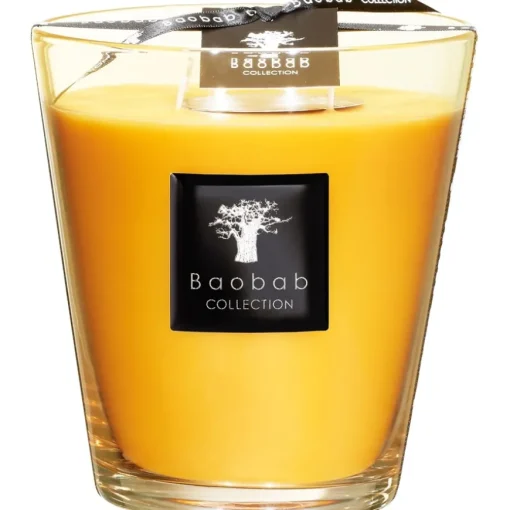 All Seasons Duftkerze Zanzibar Spices von Baobab