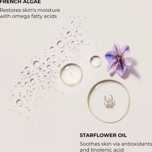 Almond Coconut Soufflé Hand Cream von Laura Mercier