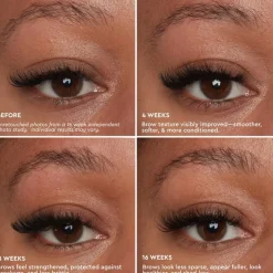Anastasia Beverly Hills Brow Genius Conditioning Brow Serum