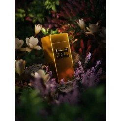 Armors Collection Eau de Parfum Spray von Hemcael