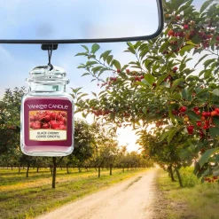 Auto-Düfte Black Cherry von Yankee Candle