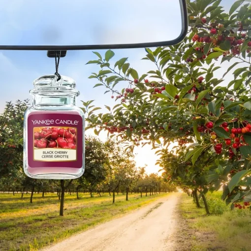 Auto-Düfte Black Cherry von Yankee Candle