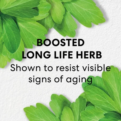 bareMinerals Long Life Night Treatment