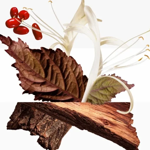 Barénia Eau de Parfum Nachfüllung von Hermès