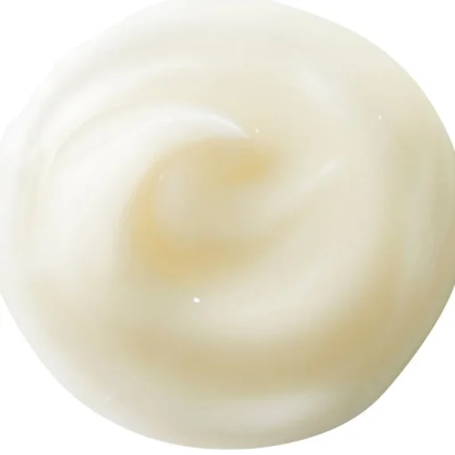 Benefiance NutriPerfect Day Cream SPF 15 von Shiseido