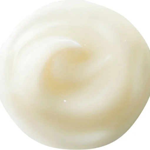 Benefiance NutriPerfect Eye Serum von Shiseido