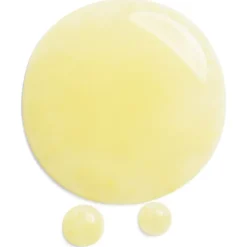 Benefiance Wrinkle Smoothing Contour Serum von Shiseido
