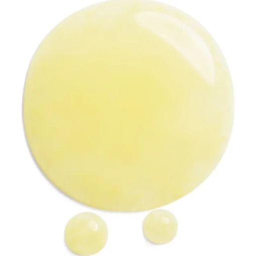 Benefiance Wrinkle Smoothing Contour Serum von Shiseido