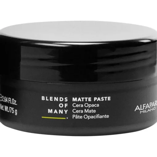 Blends of Many Matte Paste von Alfaparf Milano