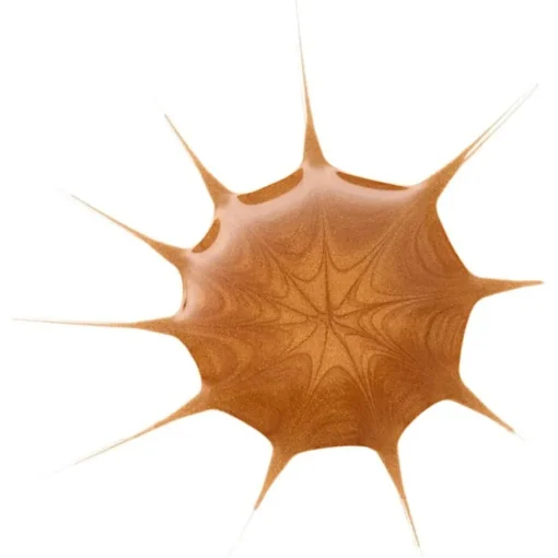 Bronzer DROP OF sunshine BRONZING DROPS von Essence