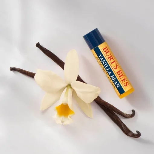 Burt's Bees Moisturizing Lip Balm - Vanilla Bean