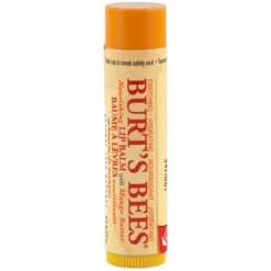 Burt's Bees Nourishing Butter Lip Balm