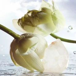 Bvlgari BVLGARI MAN Rain Essence Eau de Parfum Spray