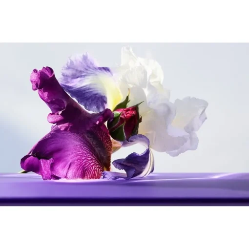 Bvlgari Omnia Amethyste Eau de Toilette Spray