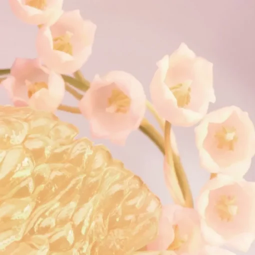Bvlgari Rose Goldea Blossom Delight Eau de Toilette Spray