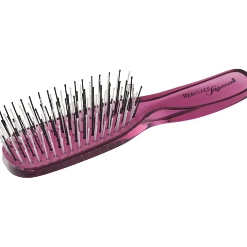 Bürsten Scalp Brush Piccolo von Hercules Sägemann