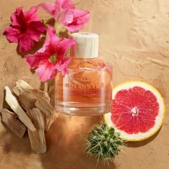 Canyon Escape Eau de Parfum Spray von Hollister