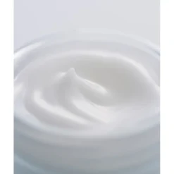 Cellular Performance - Hydrating Linie Fresh Cream von SENSAI