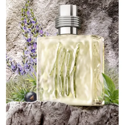Cerruti 1881 pour homme Eau de Toilette Spray von Cerruti