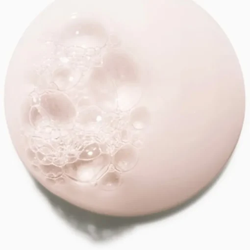 Chroma Absolu Bain Chroma Respect von Kérastase