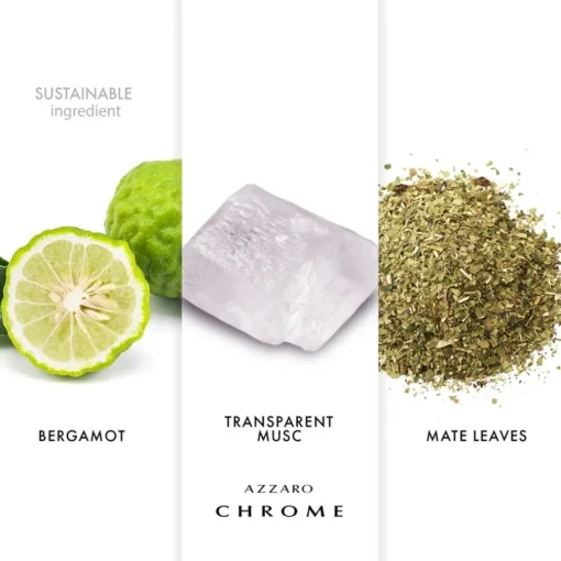 Chrome Eau de Toilette Spray von Azzaro