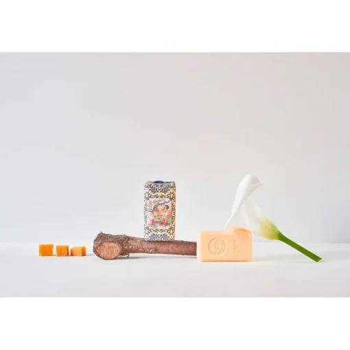 Classico Barbear Grapefruit Fig Wax Sealed Soap von Claus Porto