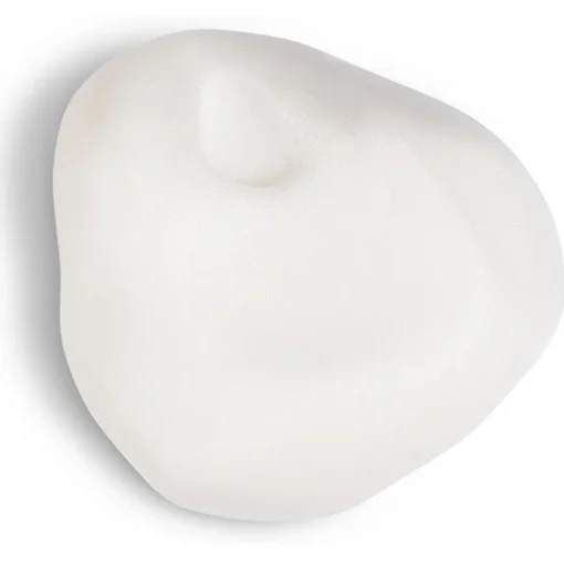 Clinical Densifying Styling Mousse von Alterna