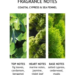 Coastal Cypress & Sea Fennel Bath Salt von Molton Brown