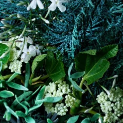 Coastal Cypress & Sea Fennel Bath Salt von Molton Brown