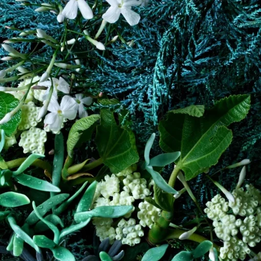 Coastal Cypress & Sea Fennel Bath Salt von Molton Brown