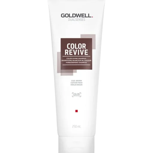 Color Color Giving Shampoo Copper von Goldwell