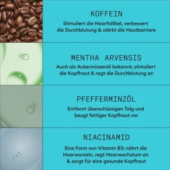Coloriertes, dezent dünner werdendes Haar 3-Step-System Set Colored Hair Light Thinning von Nioxin