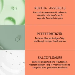 Coloriertes, sichtbar dünner werdendes Haar Cleanser Shampoo Colored Hair Progressed Thinning von Nioxin