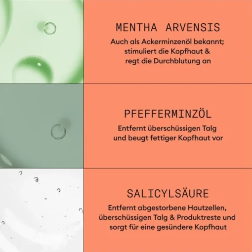 Coloriertes, sichtbar dünner werdendes Haar Cleanser Shampoo Colored Hair Progressed Thinning von Nioxin