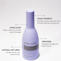 Cool Blonde Coloring Silver Conditioner von Bjo¨rn Axe´n
