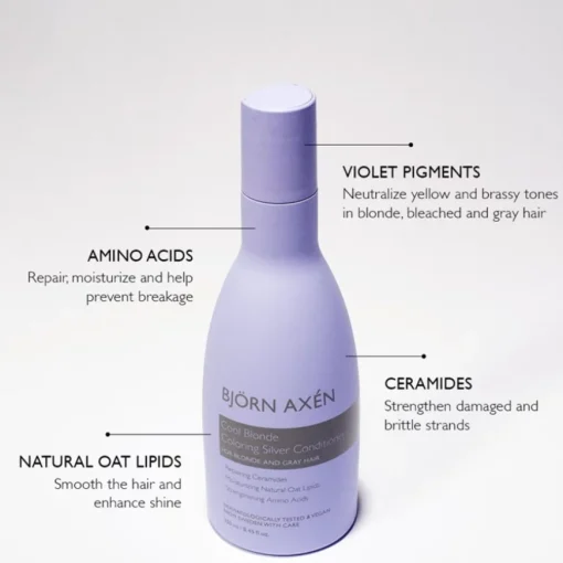 Cool Blonde Coloring Silver Conditioner von Bjo¨rn Axe´n