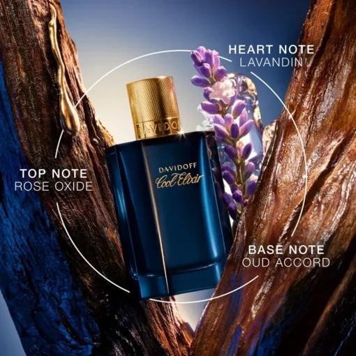 Cool Elixir for Men Parfum Intense Oud Aromatique von Davidoff