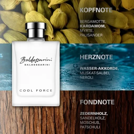 Cool Force Shower Gel von Baldessarini