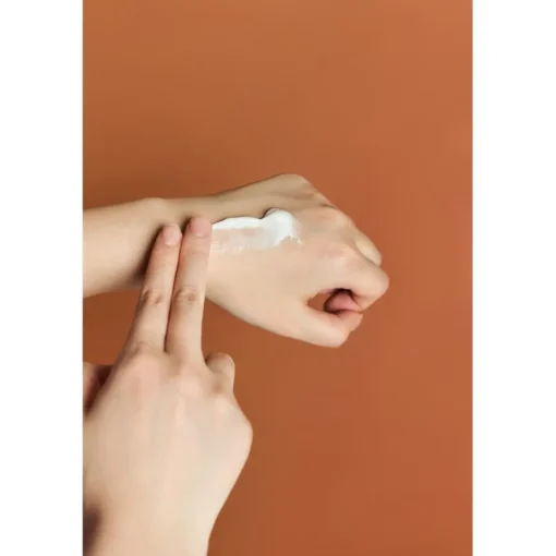 Creme Madagascar Centella Probio-Cica Enrich Cream von Skin1004