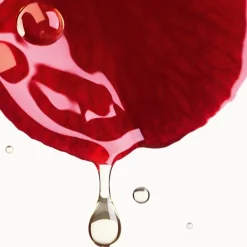 CREME N°1 DE CHANEL CREME MIT ROTER KAMELIE Polstert auf – glättet – schützt von CHANEL