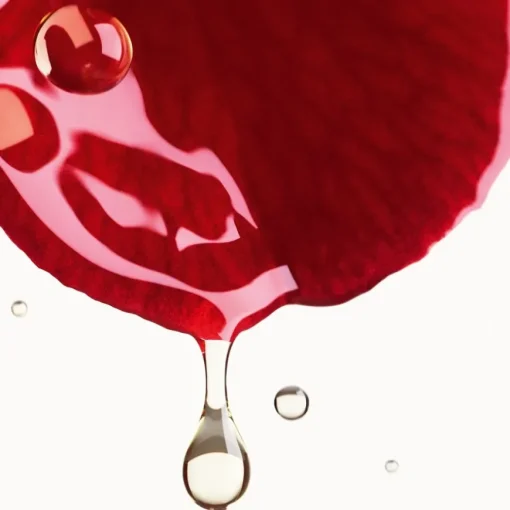 CREME N°1 DE CHANEL CREME MIT ROTER KAMELIE Polstert auf – glättet – schützt von CHANEL
