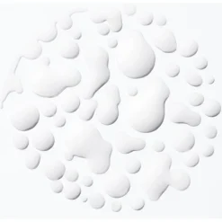 Curl Manifesto Refresh Absolu von Kérastase