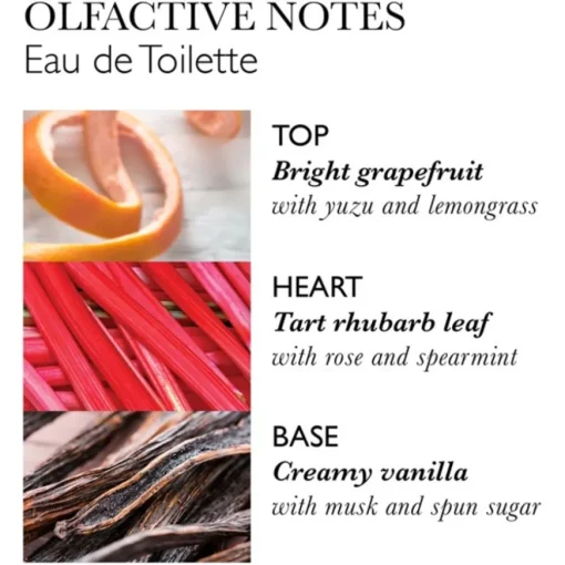 Delicious Rhubarb & Rose Eau de Toilette Spray von Molton Brown
